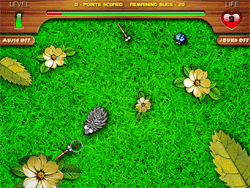 Gioco online Giochi di Ricci - Hungry Hedgehog